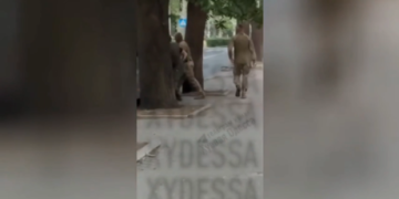 Ukrainian press gang conscripts national hockey team goalie