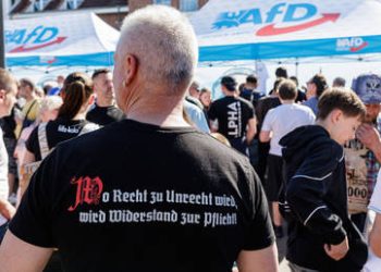 German police pepper-spray protesters amid opposition party convention (VIDEO)