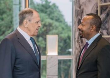 Russia is main partner against terrorism – Niger