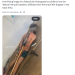 Israel responds to viral PHOTO of tortured Palestinian