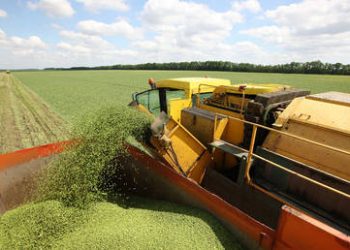 Russia delivers food aid to war-torn Mali