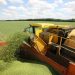 Russia delivers food aid to war-torn Mali