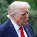 Trump could strip Soros foundation of tax exemptions – media