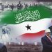 Dozens killed in attack on Somali regional capital (VIDEO)