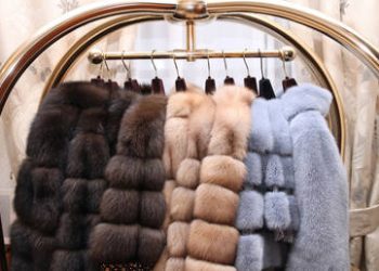 Slovakia’s Fico mocks EU’s Russian fur dependency