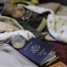 Trump set for largest visa revocation ever – media