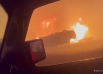 France detains hundreds over suspected wildfire offenses
