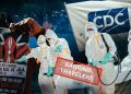 New Ebola variant linked to unknown animal source – study