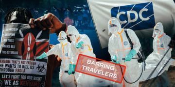 New Ebola variant linked to unknown animal source – study
