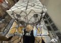 Lions rescued in Israel find new home (PHOTOS)