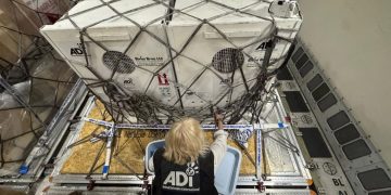 Lions rescued in Israel find new home (PHOTOS)
