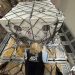 Lions rescued in Israel find new home (PHOTOS)