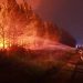 Belgium battles record wildfire near German border (VIDEO)