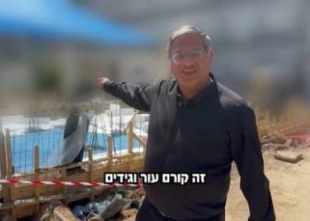 UN expert urges peacekeepers in Palestinian territories as settler attacks surge