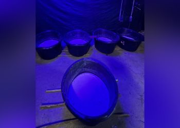 South Africa uncovers major drug lab