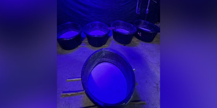 South Africa uncovers major drug lab