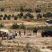 Israeli army shoots Palestinian teen during raid on UN-run center (VIDEO)