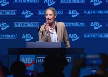 Merz lays into Germany’s most popular party ahead of regional vote