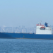 Türkiye summons Kiev’s envoy over attacks on Black Sea shipping