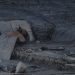 Nepal flood deaths climb past 900 as thousands remain missing