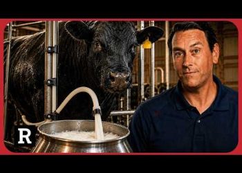 America’s beef industry is hiding a dark secret. US ranchers are fed up.