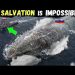 Russia for the First Time Released a 10,000-Ton Underwater ‘BEAST’ and forced NATO to Quake in FEAR