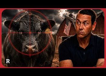 America’s Beef Industry Is Under Attack and Fighting for Its Life