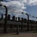 British tourist sparks backlash with Auschwitz cafe rant (VIDEO)