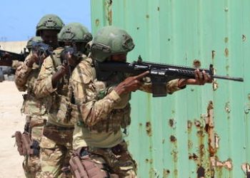 Somali forces ‘decisively defeat’ Al-Shabaab-linked militias – authorities