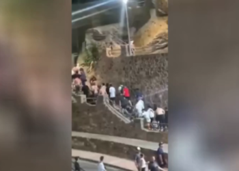 Migrants accused of beating baby dolphin to death in Spain (VIDEO)