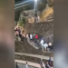 Migrants accused of beating baby dolphin to death in Spain (VIDEO)