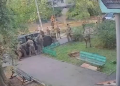 Agents of chaos: Zelensky’s security services trade accusations after Kiev gunfights