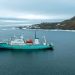 Arctic limbo: What you need to know about the Russian ship seized by Norway 