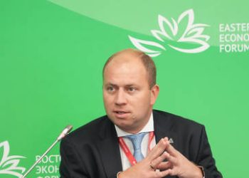 Rosatom in talks with Indian private companies to build nuclear plants – CEO