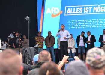AfD is not the heroic opposition it claims to be