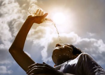 Heat not seen ‘for the last 100,000 years’ – climate monitor