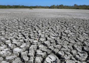 ‘Super El Nino’ could cause over 450,000 deaths – study