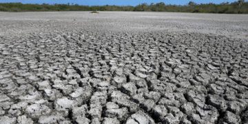Scorching summer sparks potato shortage in Europe