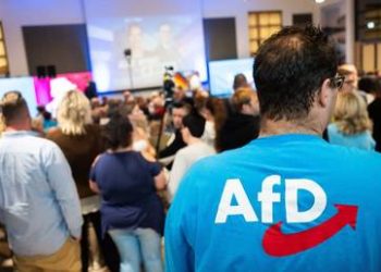 AfD files criminal complaint against Merz