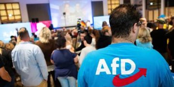 What the AfD really wants from China