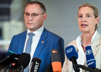 German coalition party pushes to ban AfD