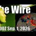 The Wire – September 1, 2026