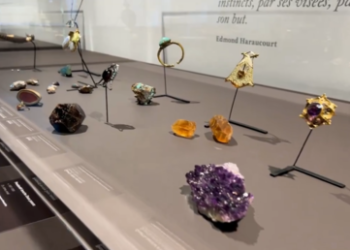 Dali artwork worth millions stolen in French museum heist
