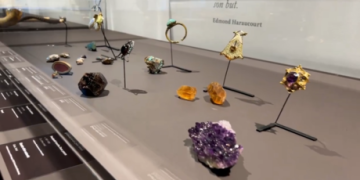 Dali artwork worth millions stolen in French museum heist