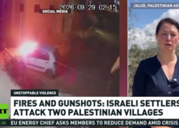 Armed Israeli settlers beat and rob AFP photographer – media