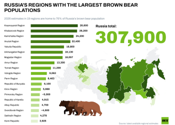 Russia’s growing bear population: What you need to know