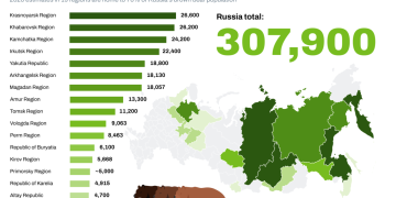 Russia’s growing bear population: What you need to know