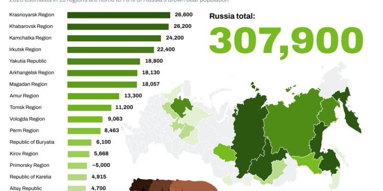 Russia’s growing bear population: What you need to know