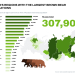 Russia’s growing bear population: What you need to know