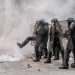 Trump blames French unrest on ‘mass migration’ (VIDEOS)